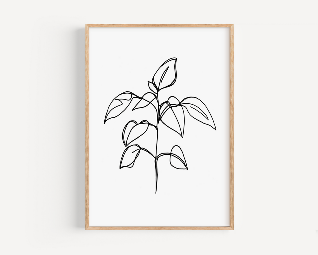 Plant Line Drawing Print Posters, Prints, & Visual Artwork Pretty Average   